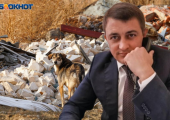 Госдумский борец с «собачьей сектой» заявил об угрозах в свой адрес и потребовал принять меры к зоошизе