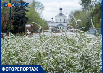 Волгоград цветет, несмотря на коронавирус: 23 апреля в объективе фотографа