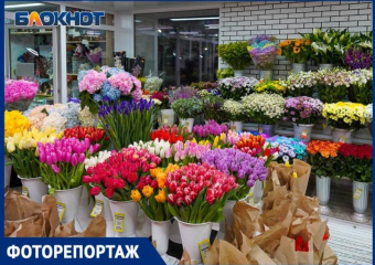 «Места отдали краснодарцам, несём убытки»: как в Волгограде взлетели цены на цветы к 8 Марта