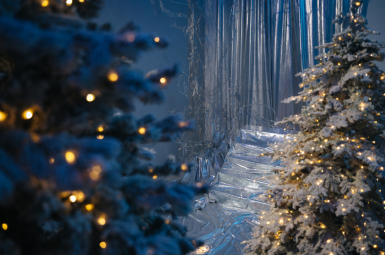 Фотостудия «АПОЛЛО» +7 904 403-73-13