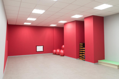 Индивидуальные и групповые занятия спортом и фитнесом - 