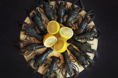 Живые и варёные раки. Всегда свежие и вкусные - 