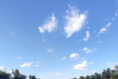 Женский и семейный психолог Елена Пехташева - 