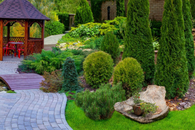 Озеленение и благоустройство