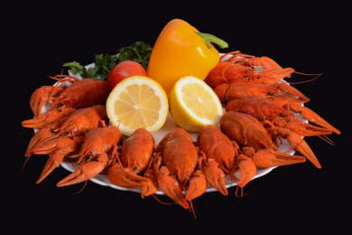 Живые и варёные раки. Всегда свежие и вкусные