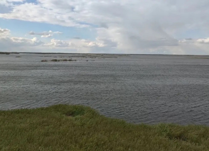 Рыбалка бизнесмена в Волгограде: трое найдены мёртвыми