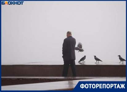 «Не видно ничего!»: пугающее явление накрыло Волгоград — и это не просто туман