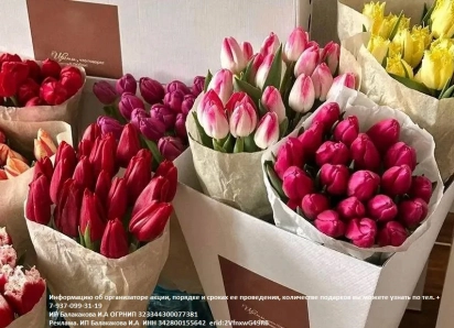 Тюльпаны по цене чашки кофе! Только один день!