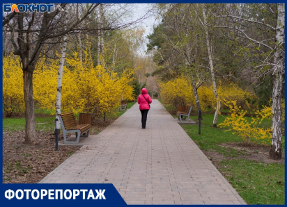 Как цветет Волгоград во время капризов апрельской погоды