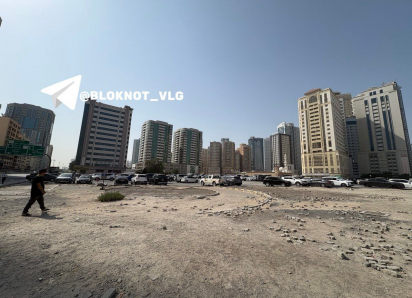 Волгоградка рискнула, чтобы покинуть Дубай вместе с детьми 