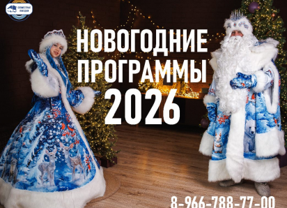 Новогоднее приключение с квестами и интерактивами. 2000 руб/чел. 