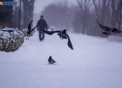 Волгоградская область стала главной целью атак ВСУ: за ночь сбито 45 БПЛА