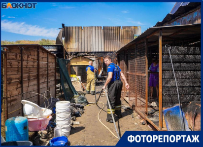 Собаки сгорели заживо: показываем пепелище на месте крупного приюта в Волгограде