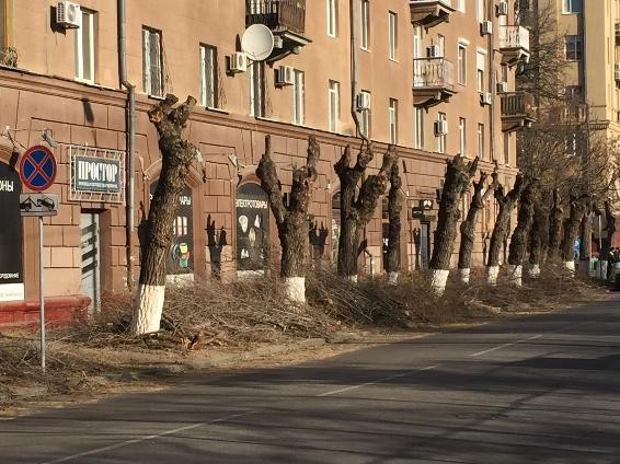 Сегодня введено одностороннее движение на улице Чуйкова в Волгограде