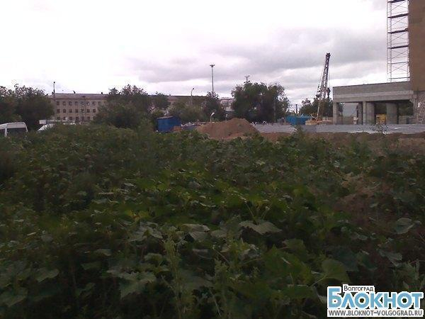 В Волгограде  исчез спортивный объект
