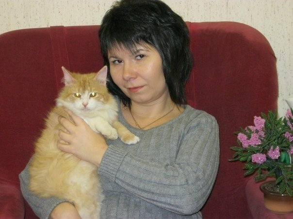 Библиотекарь из Волгограда спасла жизнь 50 брошенным кошкам и собакам