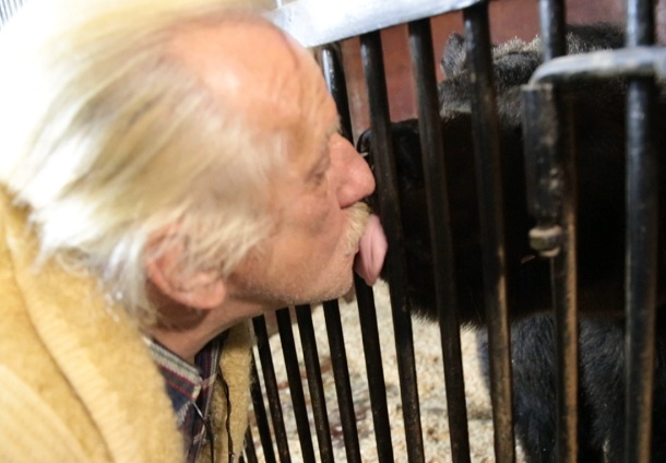 Смертельно опасный поцелуй медведя попал на видео в Волгограде