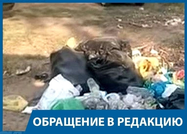 Поставьте мусорные ящики на пляже «Бобры», - волгоградец в адрес администрации Краснослободска