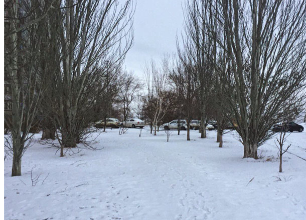 В Волгоградской области потеплело до +5ºС и начался снег с дождем