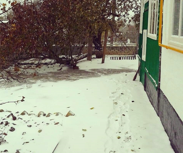 С началом зимы: первый снег выпал в Волгоградской области