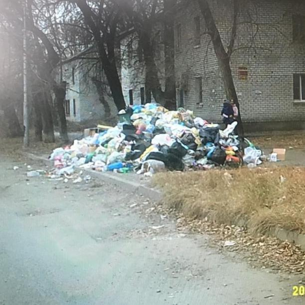 Блогер опубликовал фото утопающего в мусоре города-героя Волгограда