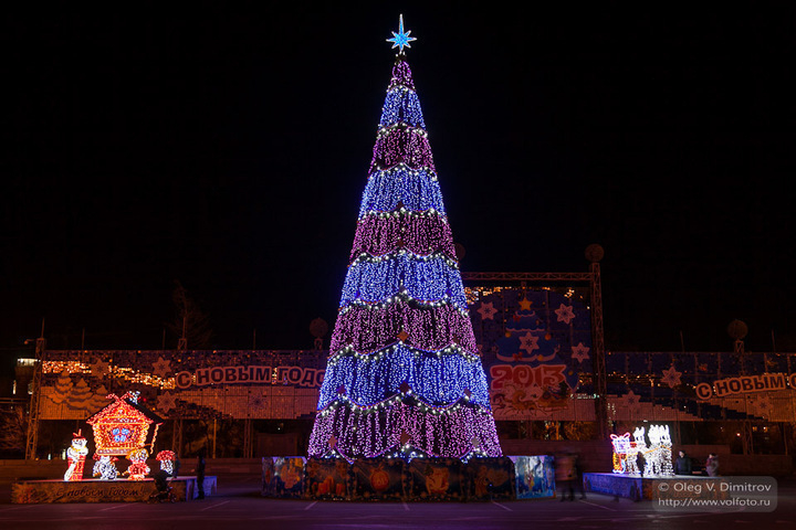 Мэрия Волгограда потратит на новогоднюю елку почти 3 миллиона рублей