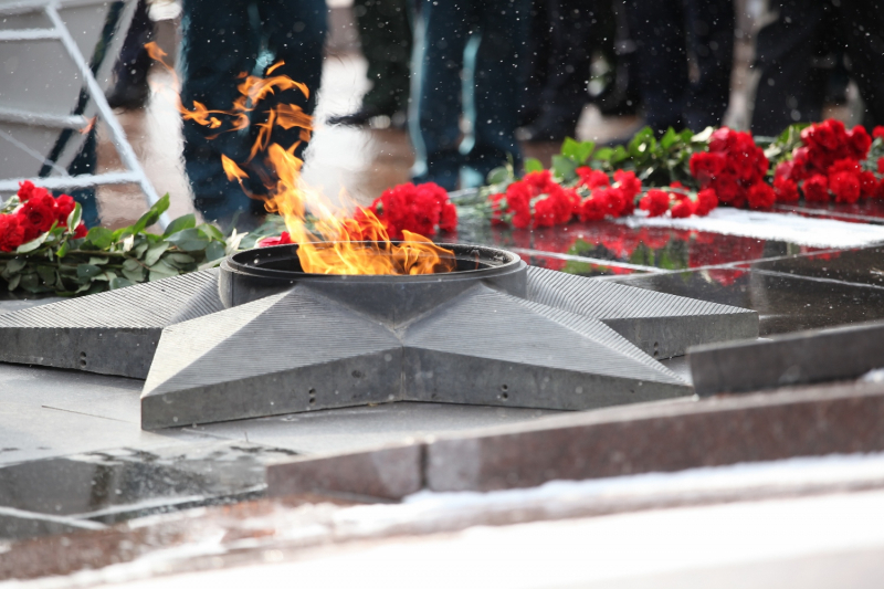 Военнослужащие грызли семечки и бросали их в Вечный огонь в Волгограде