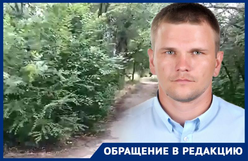 Депутат из Ростовской области возмущен состоянием аллеи, ведущей к Мамаеву кургану