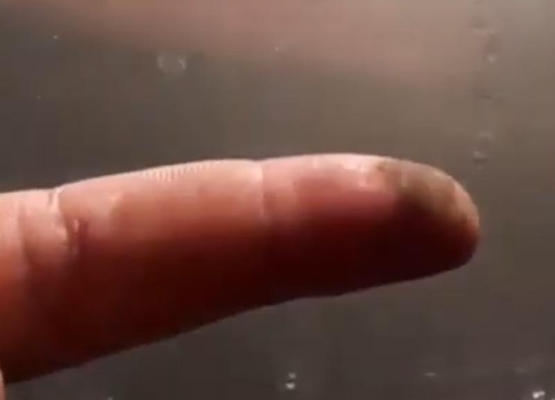 Возмущенный волгоградец показал на видео пыльные стекла в автобусе №2