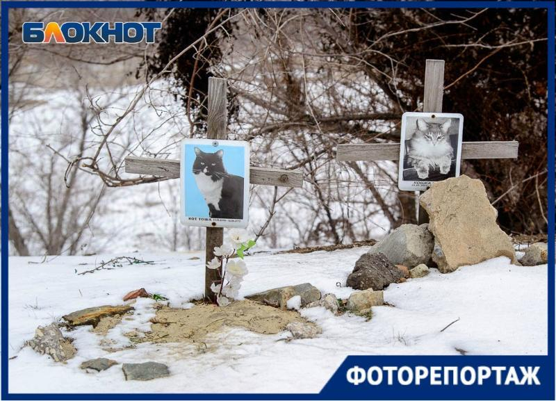 Кладбище домашних животных в объективе волгоградского фотографа