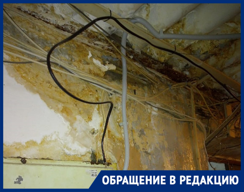 «Вода капает на счетчики, стены в плесени», - жильцы общежития в Волгограде в преддверии Нового года