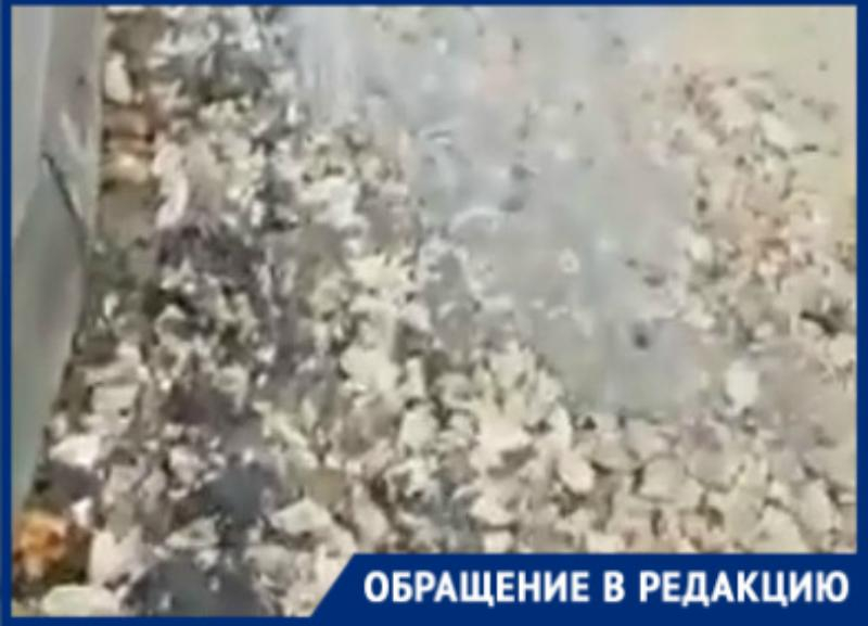 Укладку асфальта на лед в декабре сняли на видео в Волгограде