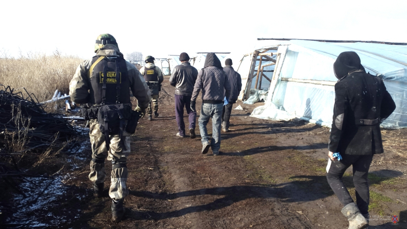 Спецназ нагрянул в теплицы Волгоградской области
