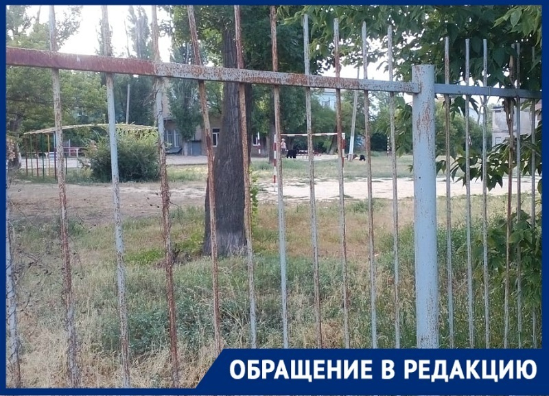 Собачники выгуливают псов возле школы №37 в Волгограде, несмотря на постоянные ссоры с родителями учеников
