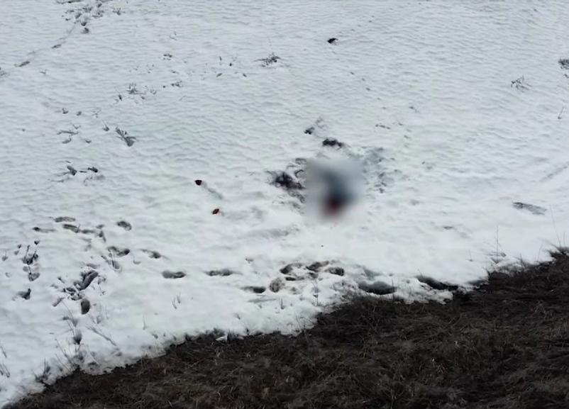 Опубликовано видео с места обнаружения тела 15-летней Айлиты Ли в Чухонастовке