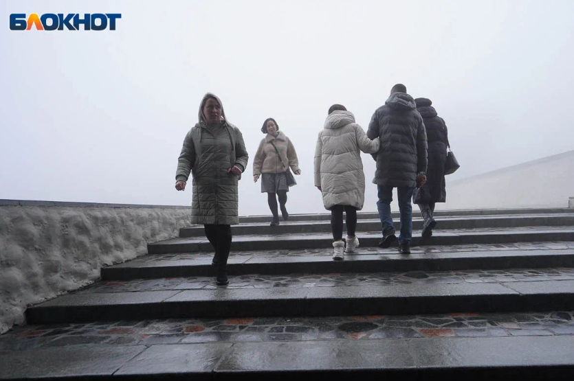 Дождь со снегом и сильный ветер ожидаются в Волгоградской области