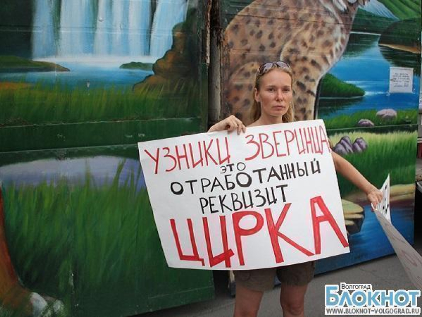 В Волгограде защитницу животных задержала полиция