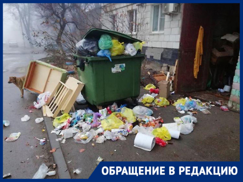 «Мусор уже летает по двору», – три дня стоят переполненные мусорные баки в Волгограде