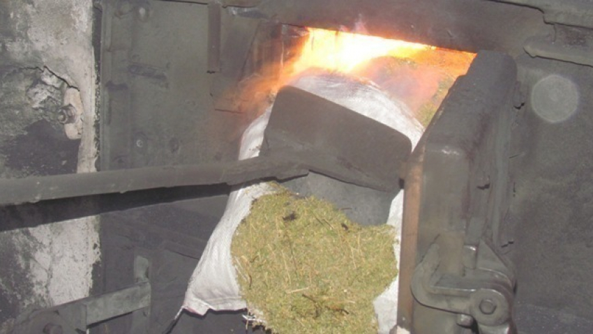 Под Волгоградом уничтожено 144 килограмма наркотиков