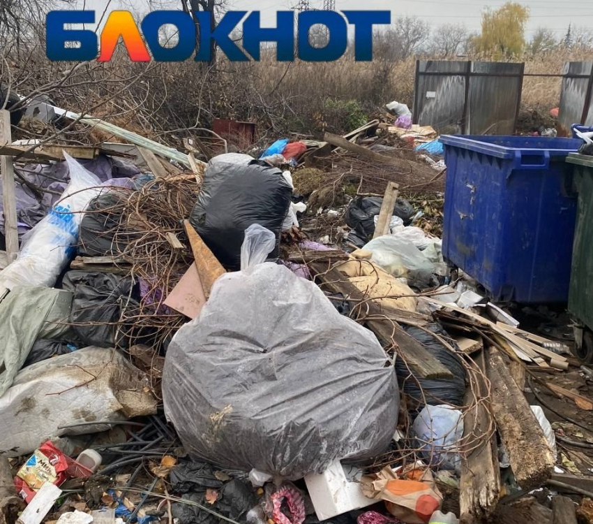 Мусорное бедствие сняли на видео жители частного сектора в Волгограде