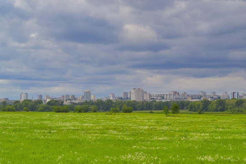 На Волгоградскую область надвигаются грозовые дожди при +41°