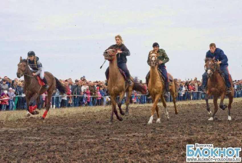 Волгоградская команда завоевала кубок губернатора на казачьих скачках