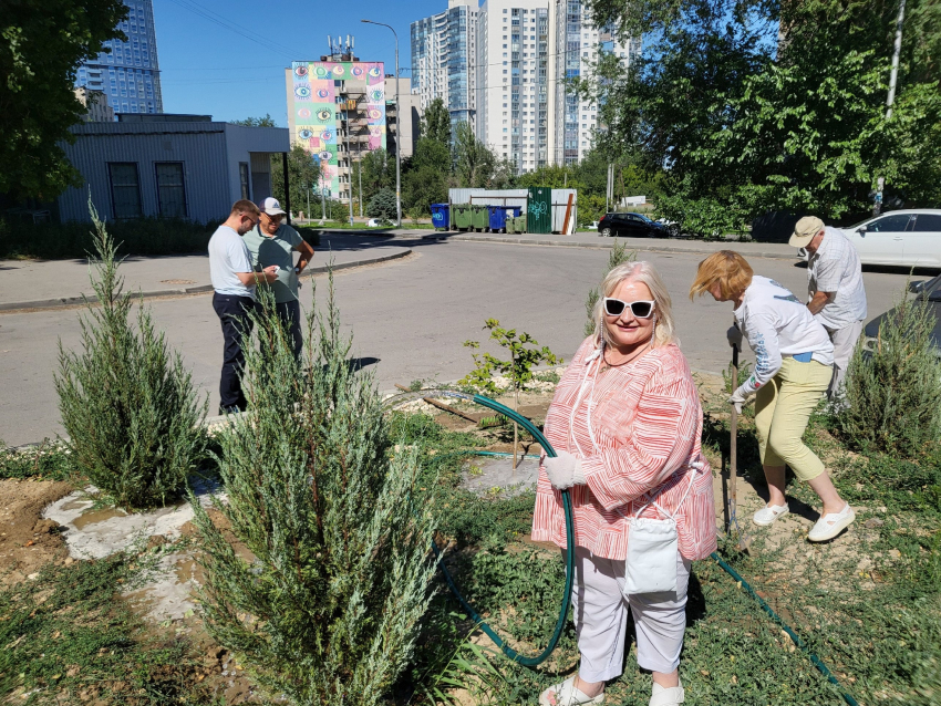 Волгоградских депутатов заставили спасти брошеные умирать без полива растения в центре