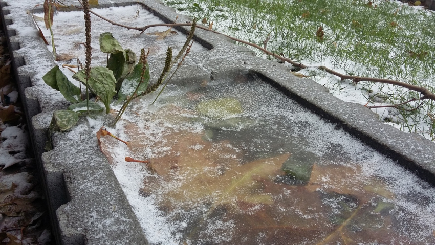 Апрельский мороз до -4 ударит в Волгоградской области