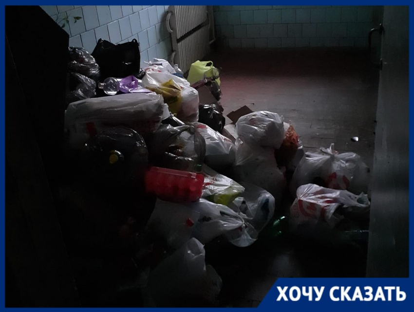 «Тараканы и черви в подъезде»: горы отходов скопились в 7-этажке Волгограда за месяц с забитым мусоропроводом