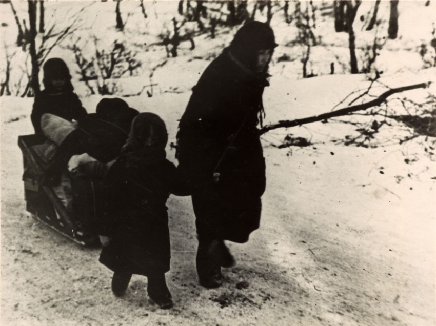 Без вакцины от оспы и с трупами на улице: 78 лет назад начали восстанавливать Сталинград