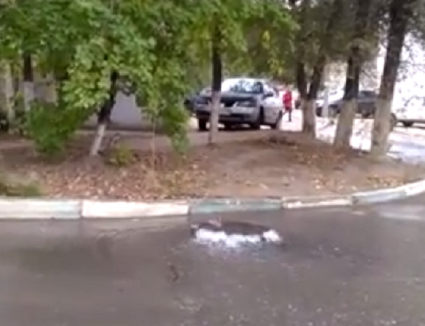 Незапланированный фонтан из-под земли поливает проезжую часть у поликлиники в Волгограде