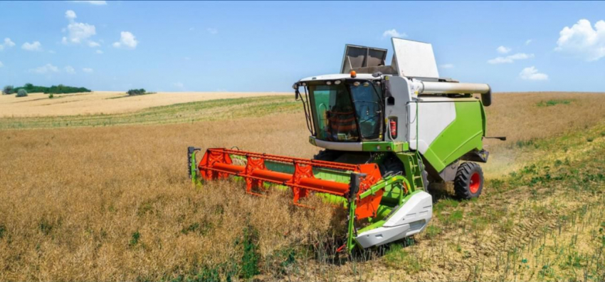 Маркетплейсы для села: по проекту ЕР фермеров и ремесленников научат продавать продукцию онлайн 