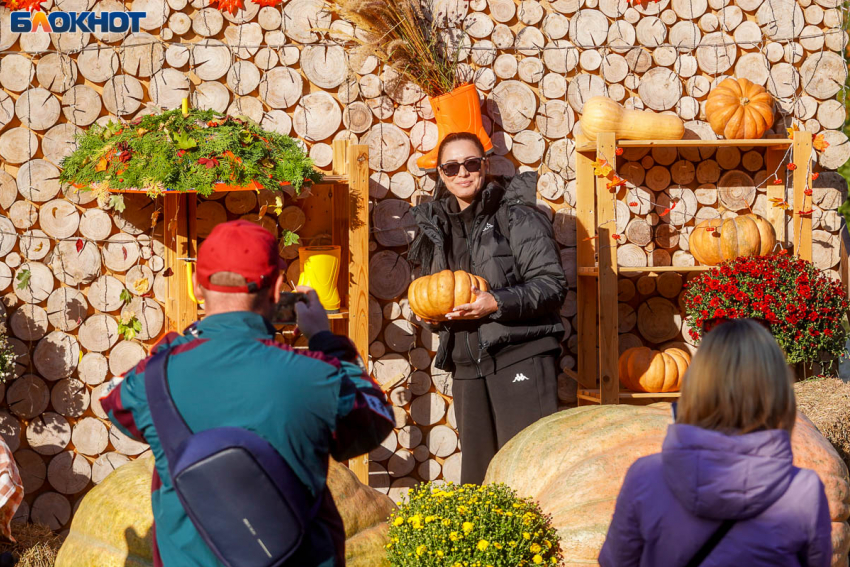 Супертеплый ноябрь ждет Волгоградскую область