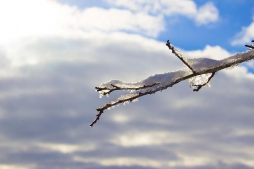 Теплое воскресенье снова вернулось в Волгоград